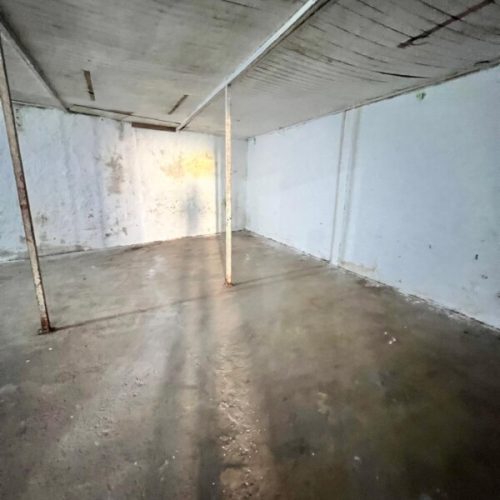 WhatsApp-Image-2026-03-03-at-13.48.28-3