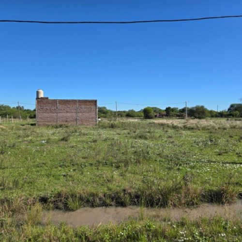 WhatsApp-Image-2026-03-26-at-12.26.18