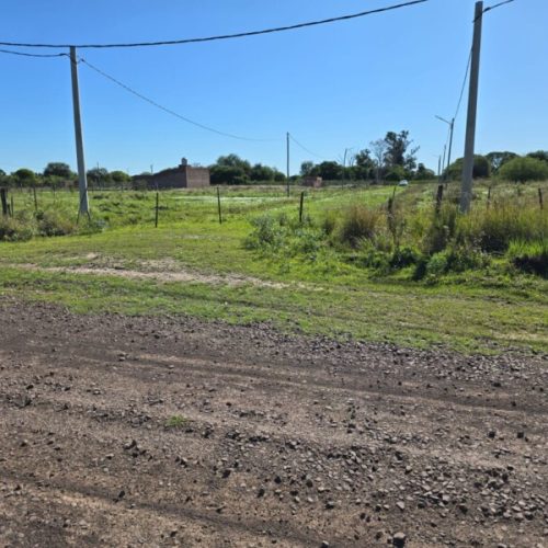 WhatsApp-Image-2026-03-26-at-12.26.19-1-1