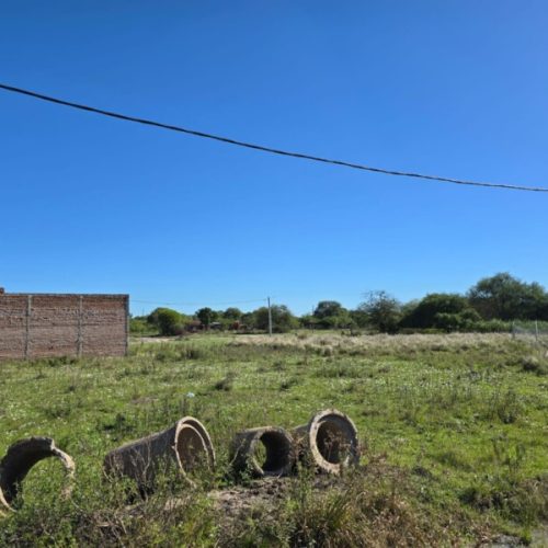 WhatsApp-Image-2026-03-26-at-12.26.19-2