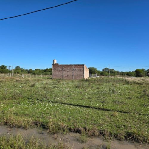 WhatsApp-Image-2026-03-26-at-12.26.19